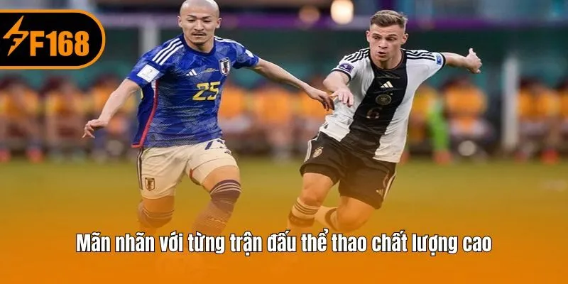 Mãn nhãn với từng trận đấu thể thao chất lượng cao