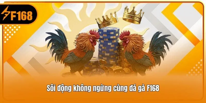Sôi động không ngừng cùng đá gà F168